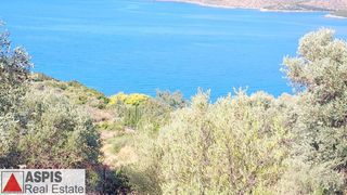 Οικόπεδο 4.000 τ.μ. προς πώληση, Νιμπορειό-thumb-2
