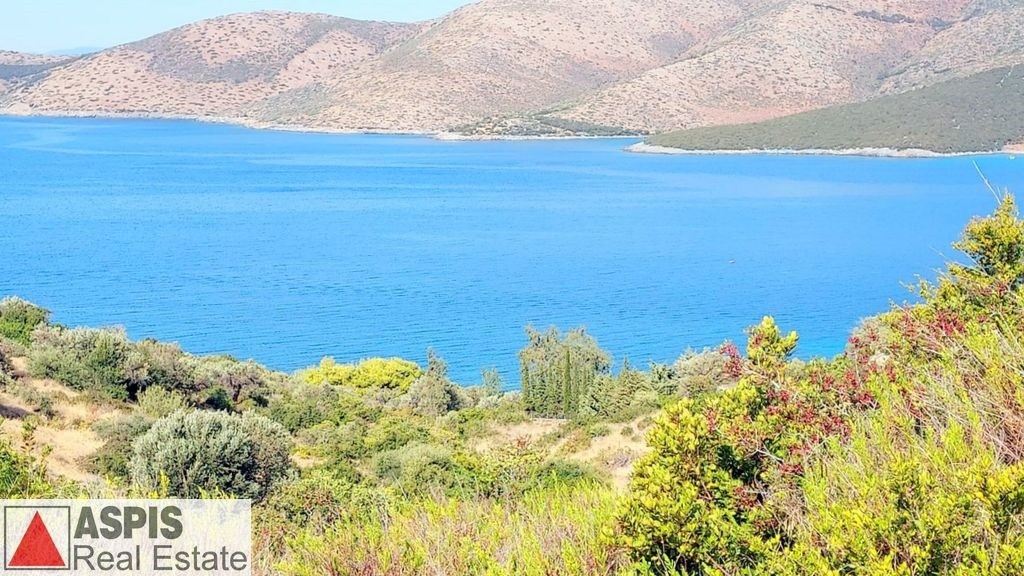 Οικόπεδο 4.000 τ.μ. προς πώληση, Νιμπορειό