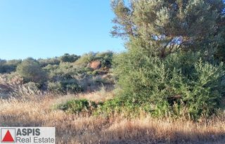Οικόπεδο 4.600 τ.μ. προς πώληση, Δήλησο-thumb-3
