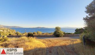 Οικόπεδο 4.600 τ.μ. προς πώληση, Δήλησο-thumb-1