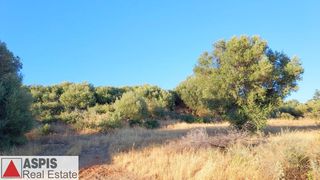 Οικόπεδο 4.600 τ.μ. προς πώληση, Δήλησο-thumb-2