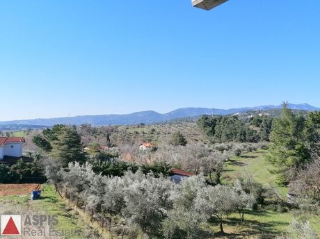 Maisonette 224sqm for sale-Polidendri