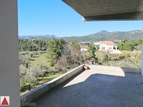 Maisonette 224sqm for sale-Polidendri