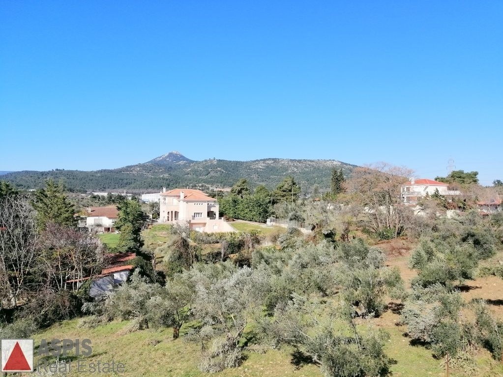 Μεζονέτα 224 τ.μ. πρός πώληση, Αττική - Υπόλοιπο, Πολυδένδρι