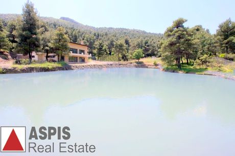 Detached home 600sqm for sale-Afidnes