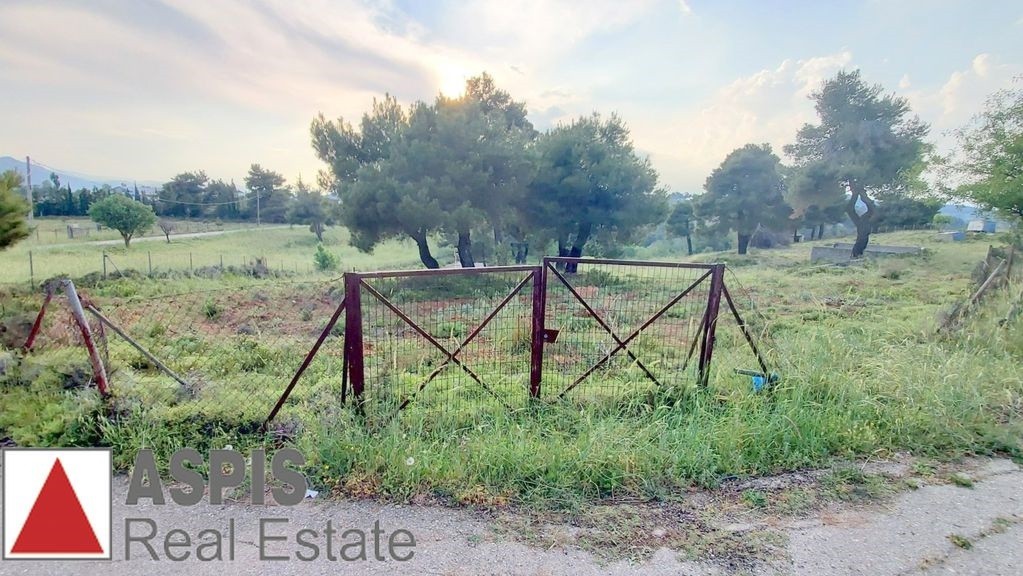 Οικόπεδο 8.000 τ.μ. προς πώληση, Καπανδρίτι Αττικής