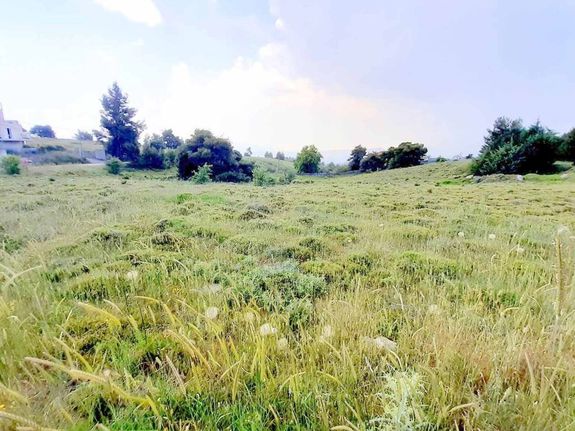 Οικόπεδο 14.000 τ.μ. για πώληση, Αττική - Υπόλοιπο, Κ. Καπανδριτίου