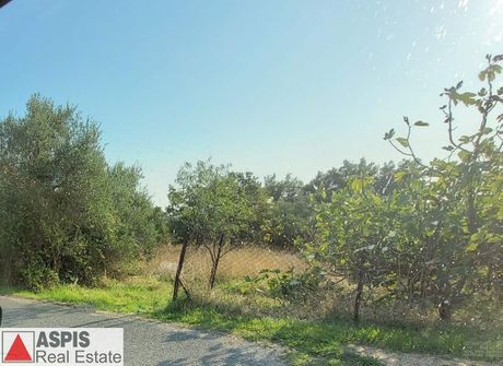 Οικόπεδο 5.585τ.μ. για πώληση-Πολυδένδρι