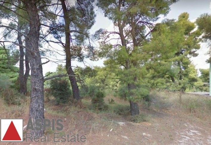Οικόπεδο 1.150 τ.μ. προς πώληση, Αγία Τριάδα Αφιδνών