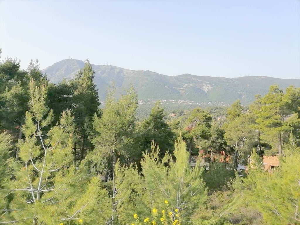 Οικόπεδο 818 τ.μ. προς πώληση, Διόνυσος
