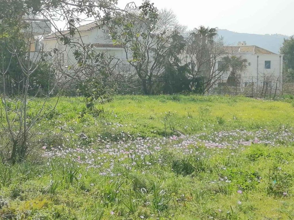 Οικόπεδο 837 τ.μ. προς πώληση, Σταμάτα