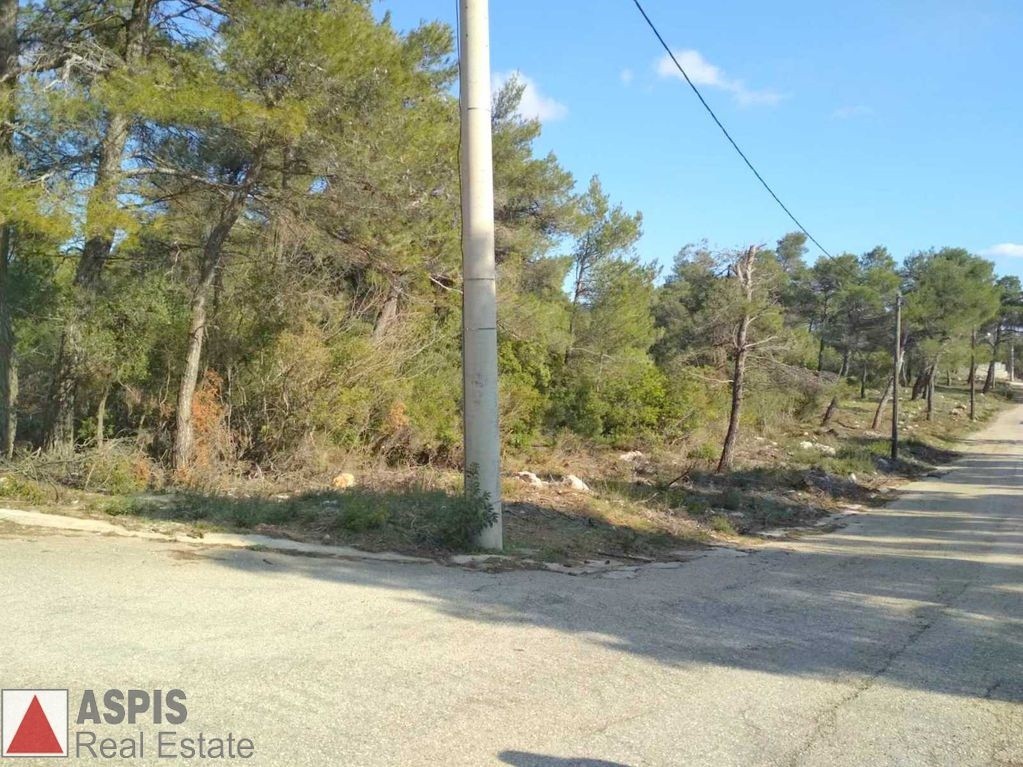 Οικόπεδο 2.094 τ.μ. προς πώληση, Αγία Τριάδα Αφιδνών