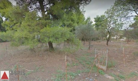 Οικόπεδο 340τ.μ. για πώληση-Άνοιξη
