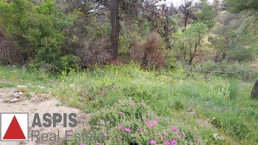 Οικόπεδο 1.030 τ.μ. προς πώληση, Αγία Τριάδα Αφιδνών