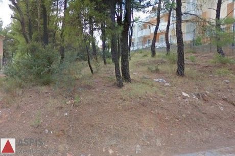 Οικόπεδο 800τ.μ. για πώληση-Διόνυσος