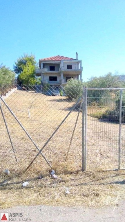 Μονοκατοικία 332,24 τ.μ. προς πώληση, Συκάμινο