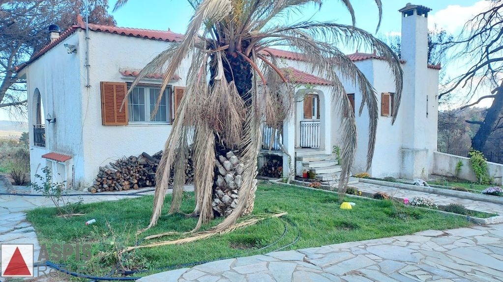 Μονοκατοικία 280 τ.μ. προς πώληση, Αφίδνες