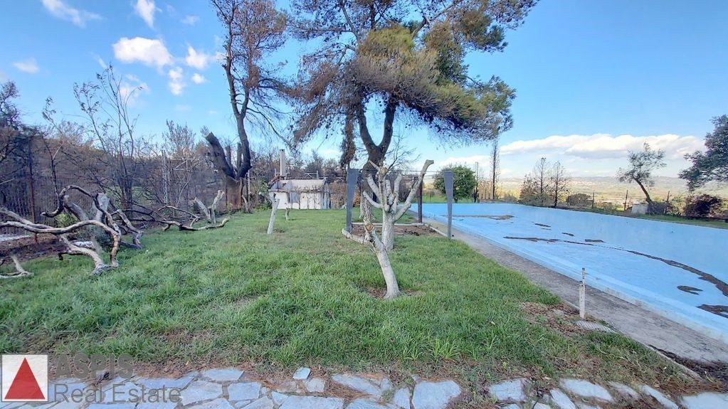 Μονοκατοικία 280 τ.μ. προς πώληση, Αφίδνες