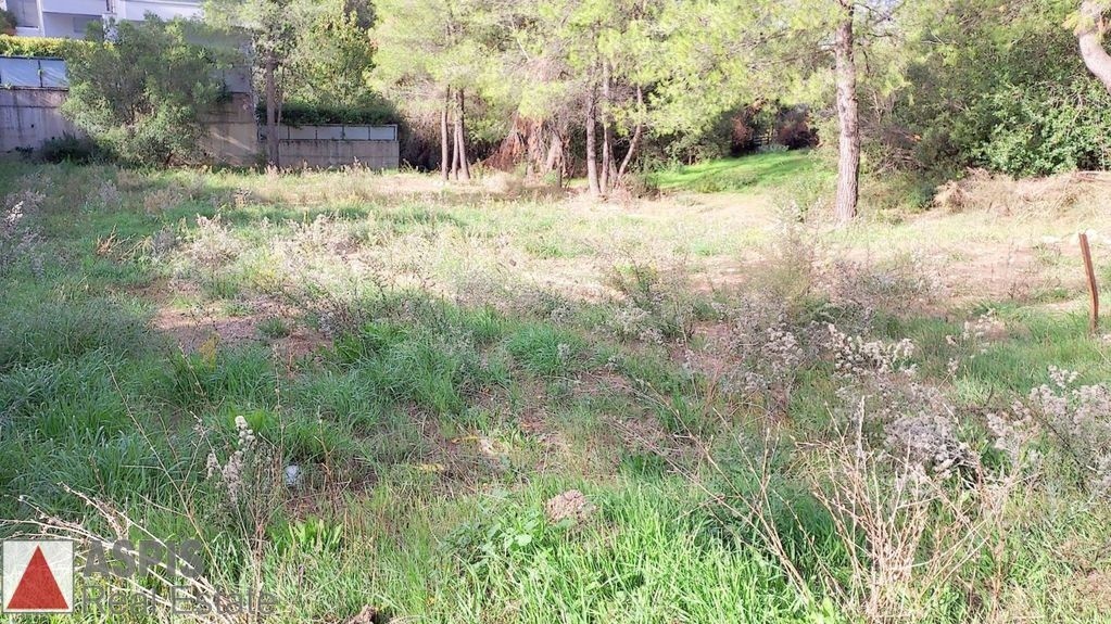 Οικόπεδο 700 τ.μ. προς πώληση, Άνοιξη