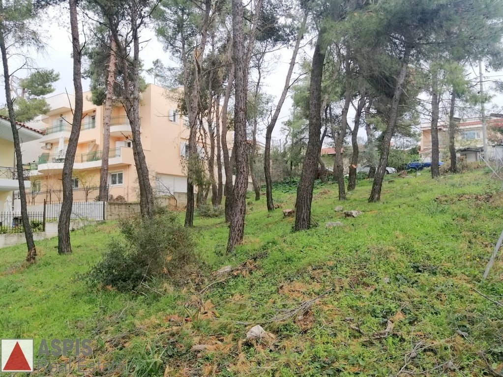 Οικόπεδο 980 τ.μ. προς πώληση, Άγιος Στέφανος