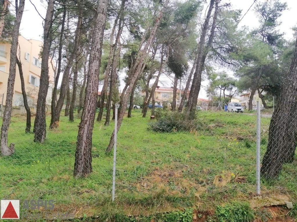 Οικόπεδο 980 τ.μ. προς πώληση, Άγιος Στέφανος