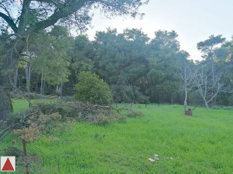 Land plot 2.090sqm for sale-Anoixi
