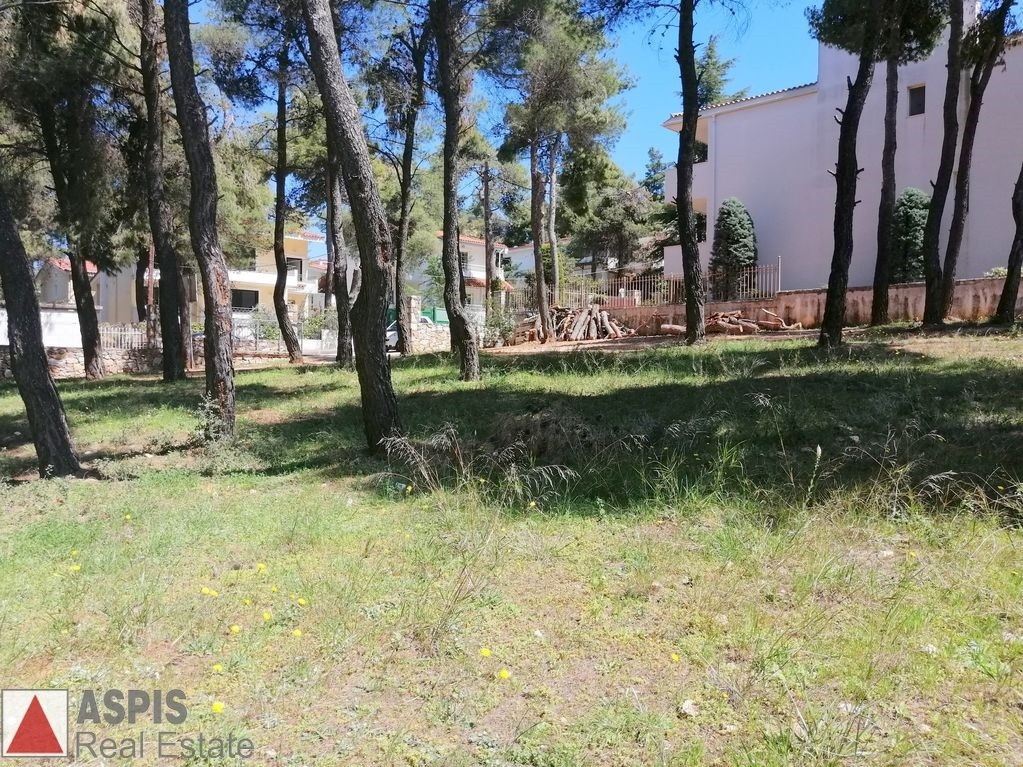 Οικόπεδο 906 τ.μ. προς πώληση, Άγιος Στέφανος