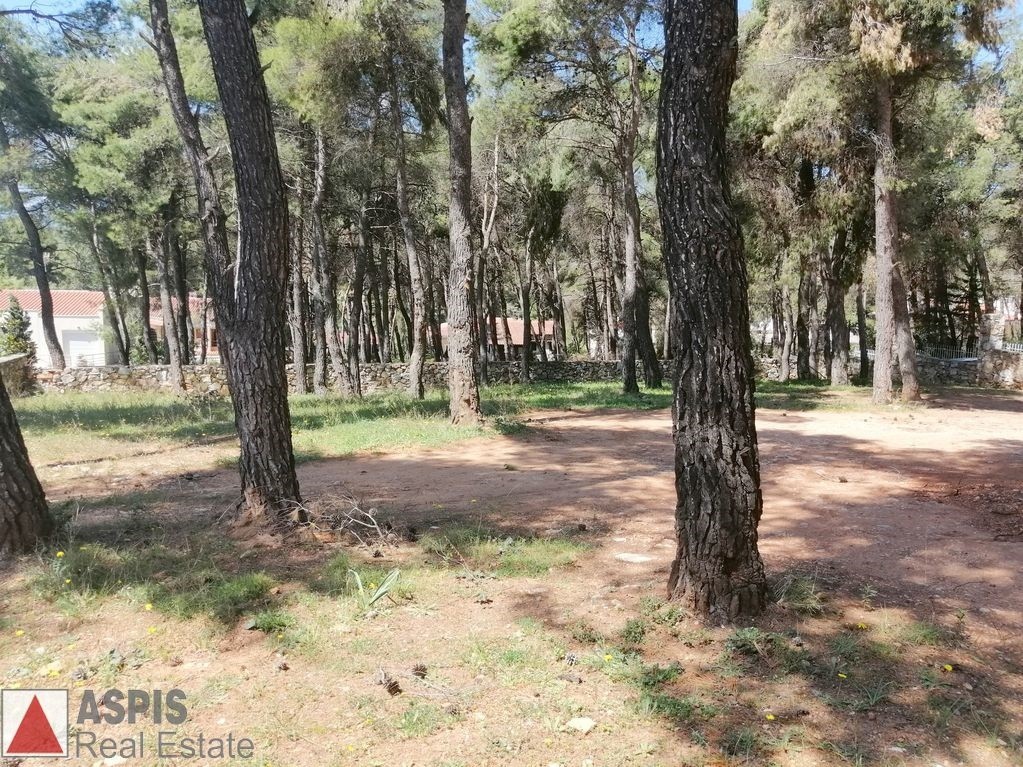 Οικόπεδο 906 τ.μ. προς πώληση, Άγιος Στέφανος