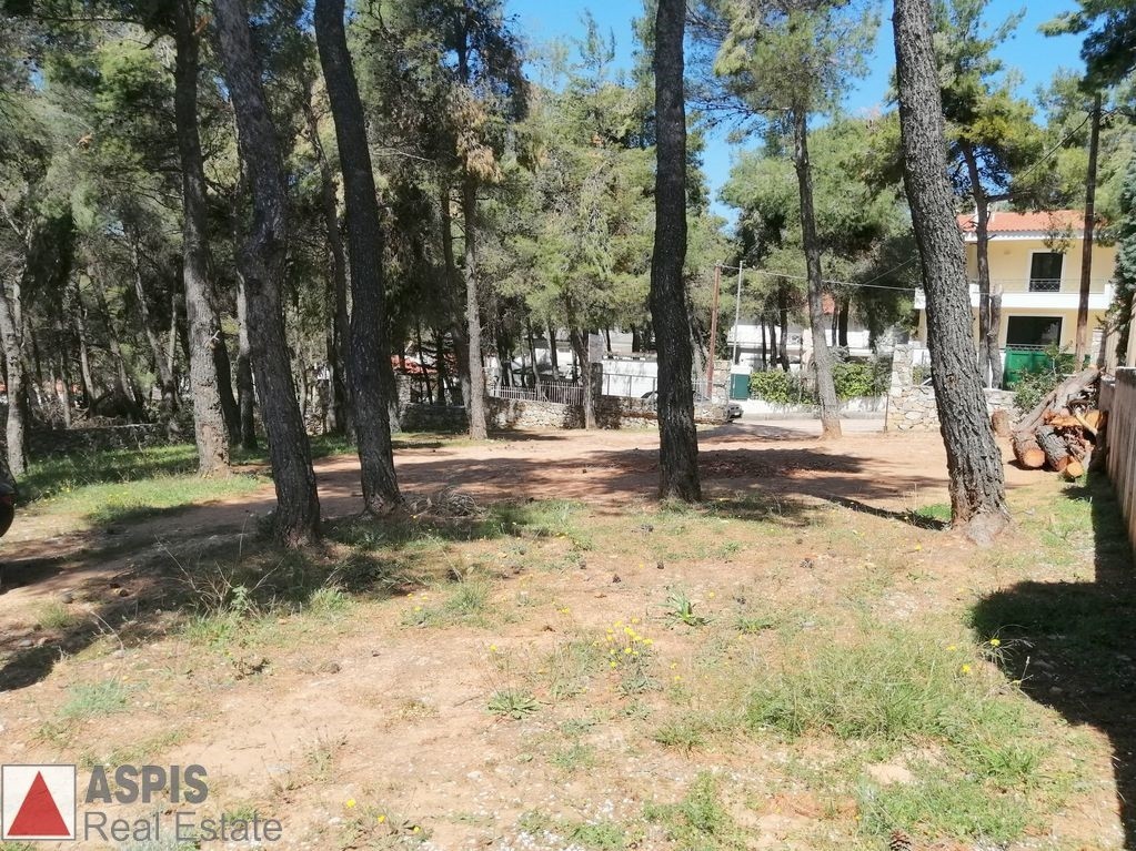 Οικόπεδο 906 τ.μ. προς πώληση, Άγιος Στέφανος