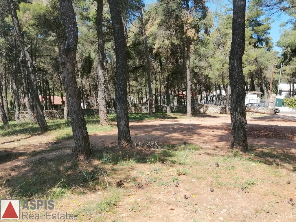 Οικόπεδο 906 τ.μ. προς πώληση, Άγιος Στέφανος