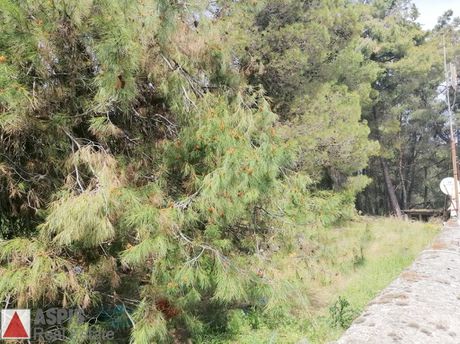 Land plot 147sqm for sale-Afidnes