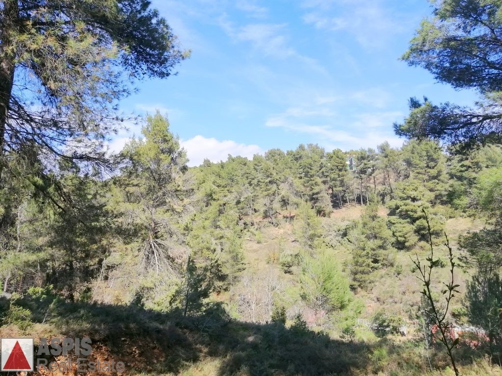 Οικόπεδο 1.500 τ.μ. προς πώληση, Δροσοπηγή Αφιδνών