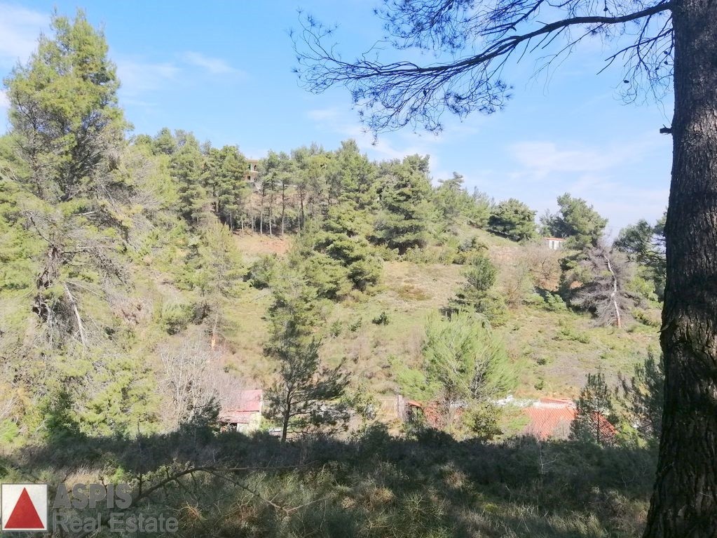Οικόπεδο 1.500 τ.μ. προς πώληση, Δροσοπηγή Αφιδνών