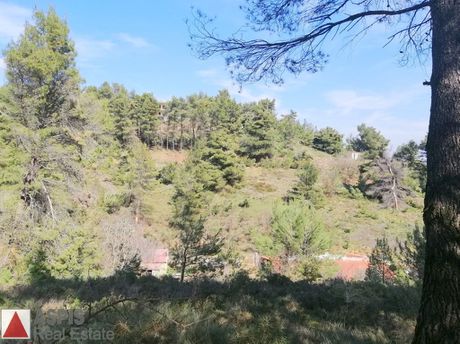 Land plot 1.500sqm for sale-Afidnes