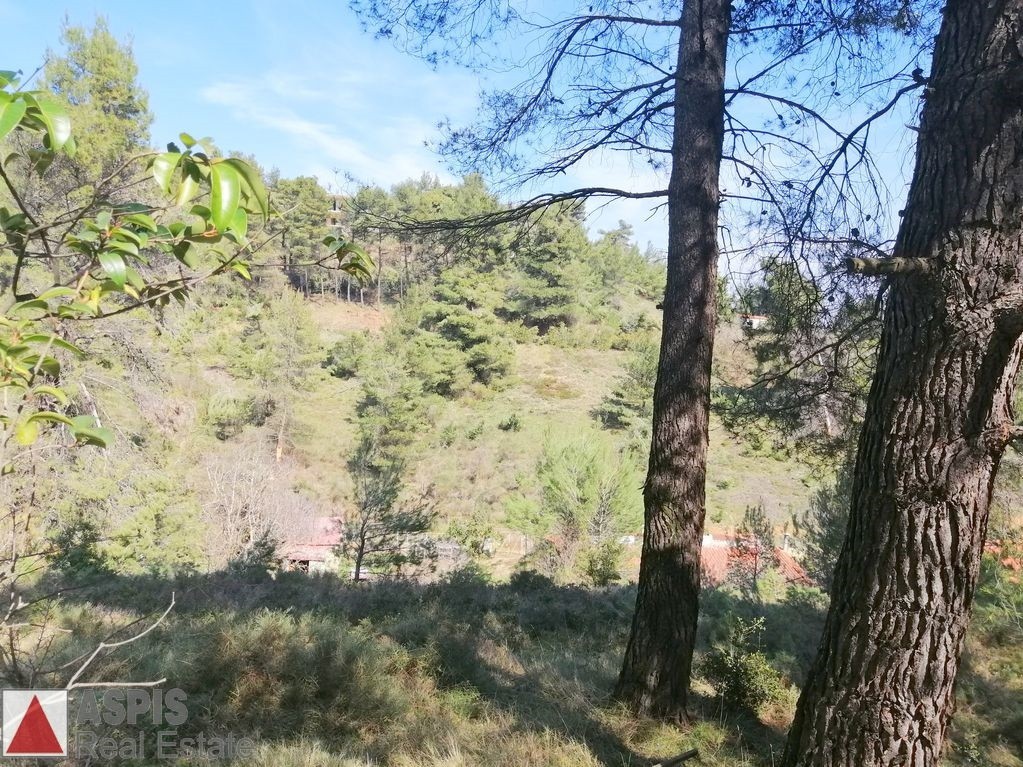 Οικόπεδο 1.500 τ.μ. προς πώληση, Δροσοπηγή Αφιδνών