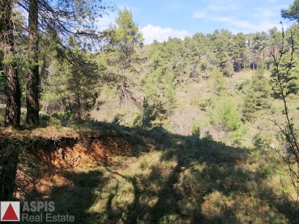 Οικόπεδο 1.500 τ.μ. προς πώληση, Δροσοπηγή Αφιδνών