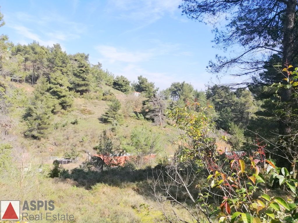 Οικόπεδο 1.500 τ.μ. προς πώληση, Δροσοπηγή Αφιδνών