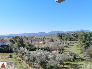 Μεζονέτα 224 τ.μ. πρός πώληση, Αττική - Υπόλοιπο, Πολυδένδρι-thumb-13
