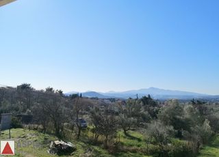 Μεζονέτα 224 τ.μ. πρός πώληση, Αττική - Υπόλοιπο, Πολυδένδρι-thumb-15
