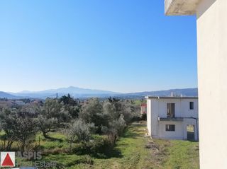 Μεζονέτα 224 τ.μ. πρός πώληση, Αττική - Υπόλοιπο, Πολυδένδρι-thumb-17