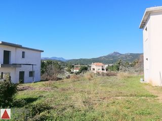 Συγκρότημα διαμερισμάτων 448 τ.μ. για πώληση, Αττική - Υπόλοιπο, Πολυδένδρι-thumb-17