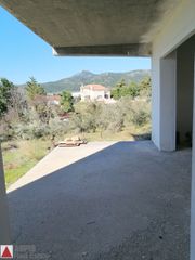 Συγκρότημα διαμερισμάτων 448 τ.μ. για πώληση, Αττική - Υπόλοιπο, Πολυδένδρι-thumb-11