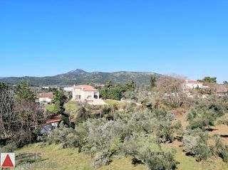 Συγκρότημα διαμερισμάτων 448 τ.μ. για πώληση, Αττική - Υπόλοιπο, Πολυδένδρι-thumb-16