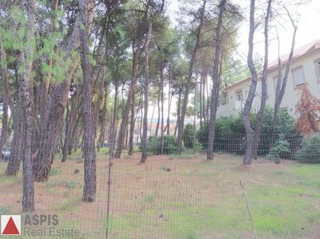 Οικόπεδο 705τ.μ. για πώληση-Άνοιξη