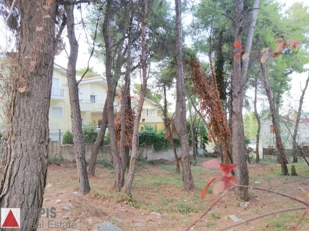 Οικόπεδο 625 τ.μ. προς πώληση, Άγιος Στέφανος