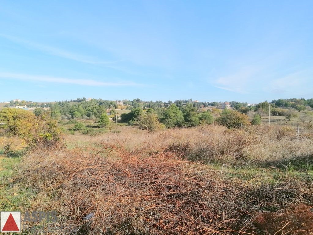 Οικόπεδο 4.000 τ.μ. προς πώληση, Βαρνάβας