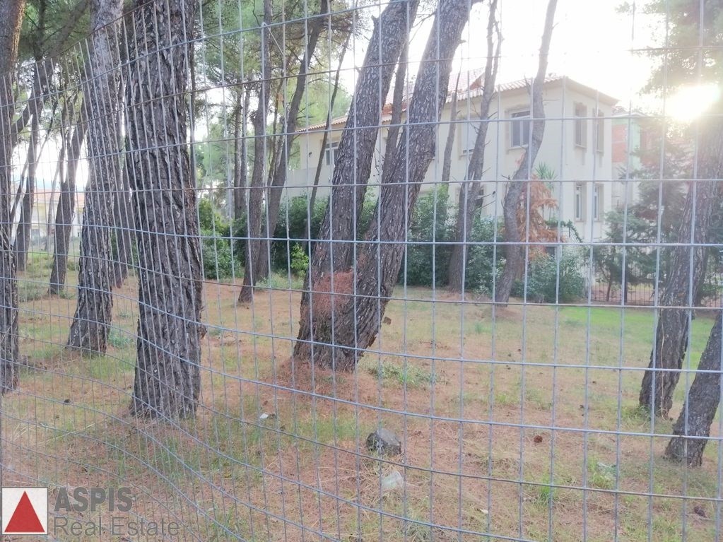 Οικόπεδο 352 τ.μ. προς πώληση, Άνοιξη