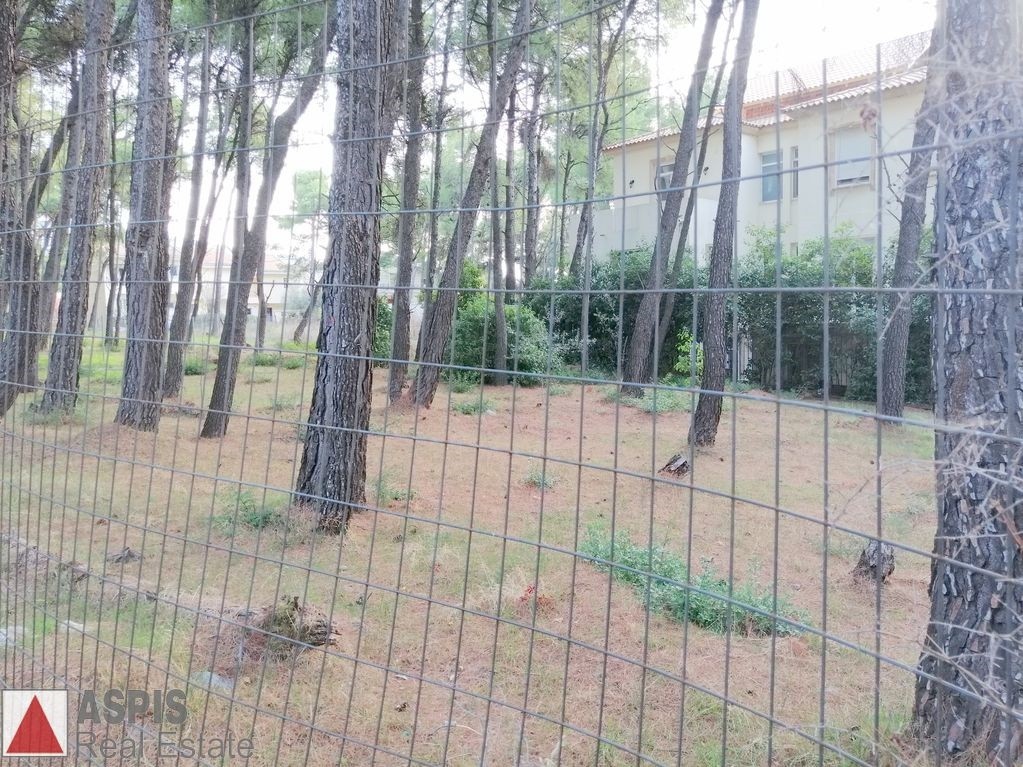 Οικόπεδο 352 τ.μ. προς πώληση, Άνοιξη