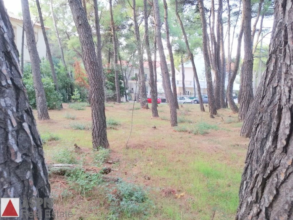 Οικόπεδο 352 τ.μ. προς πώληση, Άνοιξη