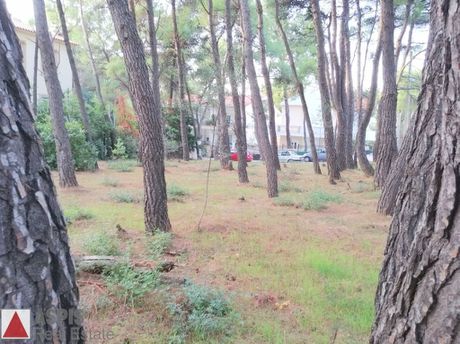 Οικόπεδο 352τ.μ. για πώληση-Άνοιξη